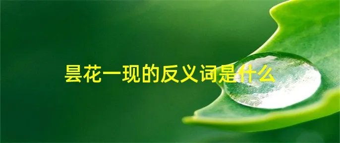 昙花一现的反义词是什么