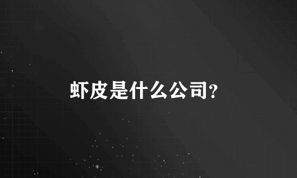 虾皮是什么公司？
