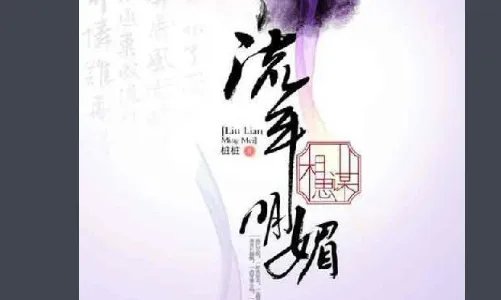 桩桩的全部小说？