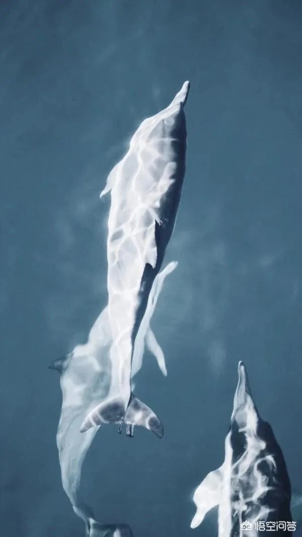 有什么好看的、景色秀丽的壁纸？