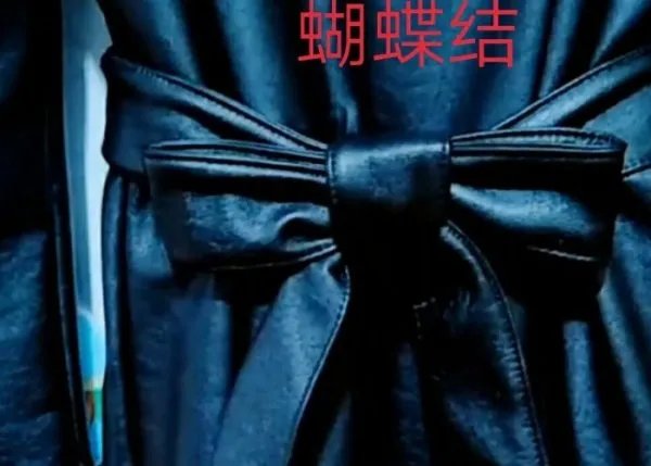 蝴蝶结的打法视频教程是怎样的？