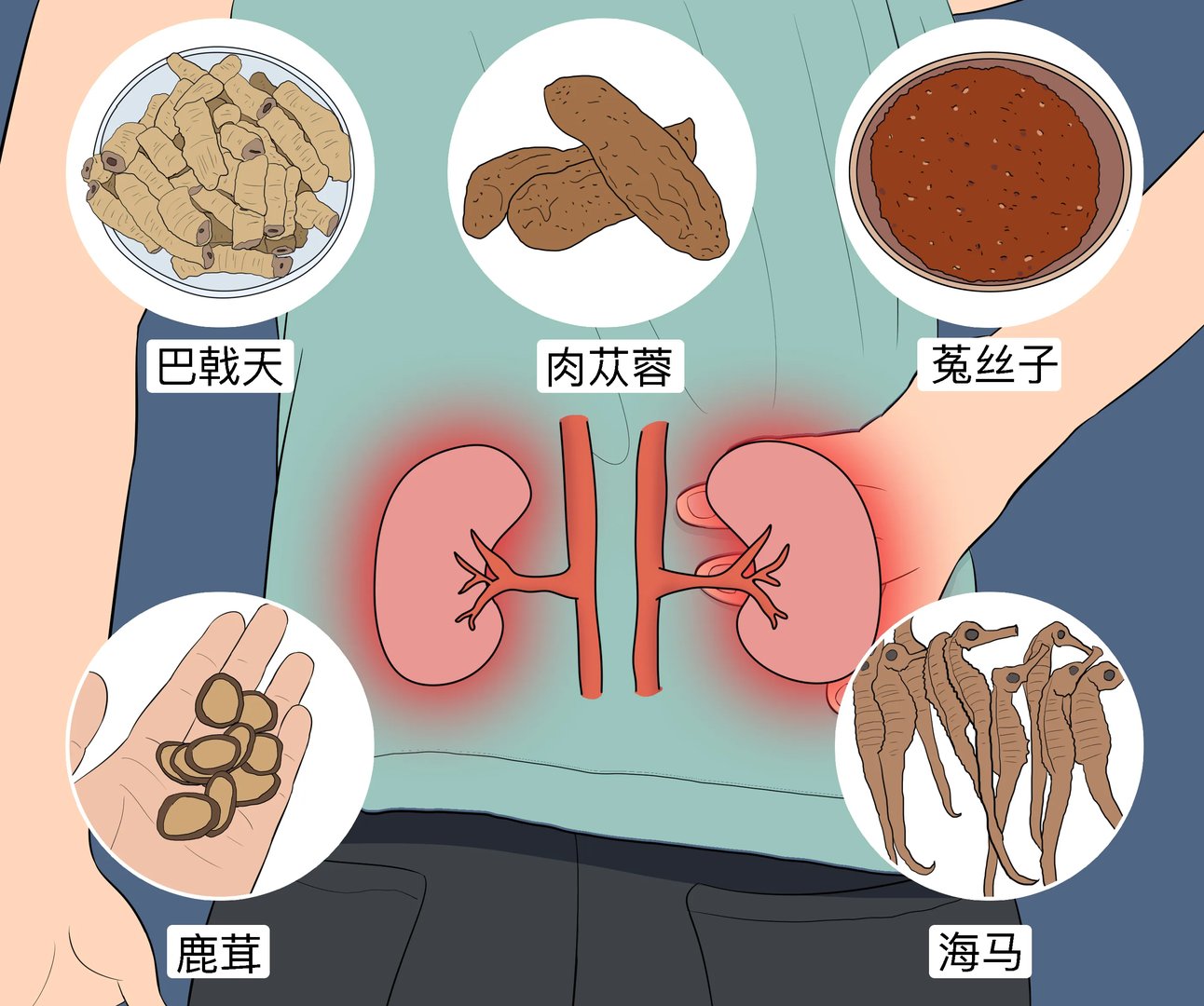 壮阳药中药有哪些