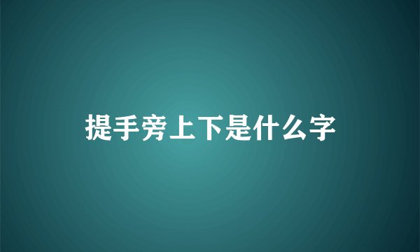 提手旁上下是什么字