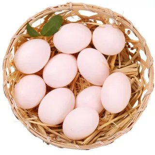 鸽子蛋多少钱一个