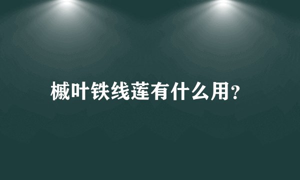 槭叶铁线莲有什么用？