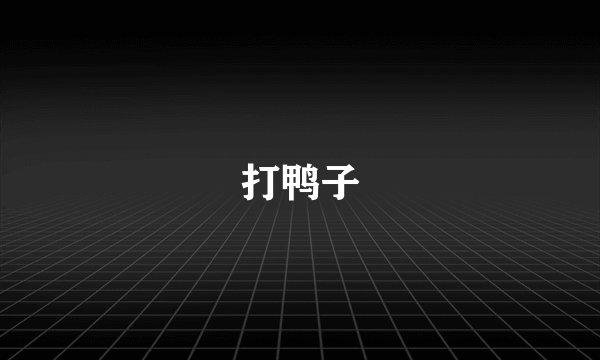 打鸭子