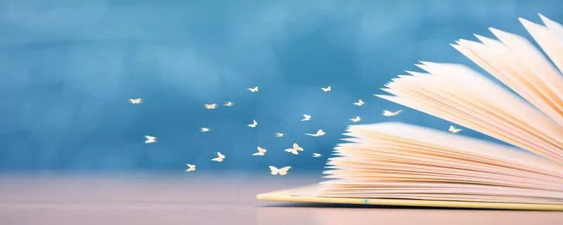 长河落日圆的上一句