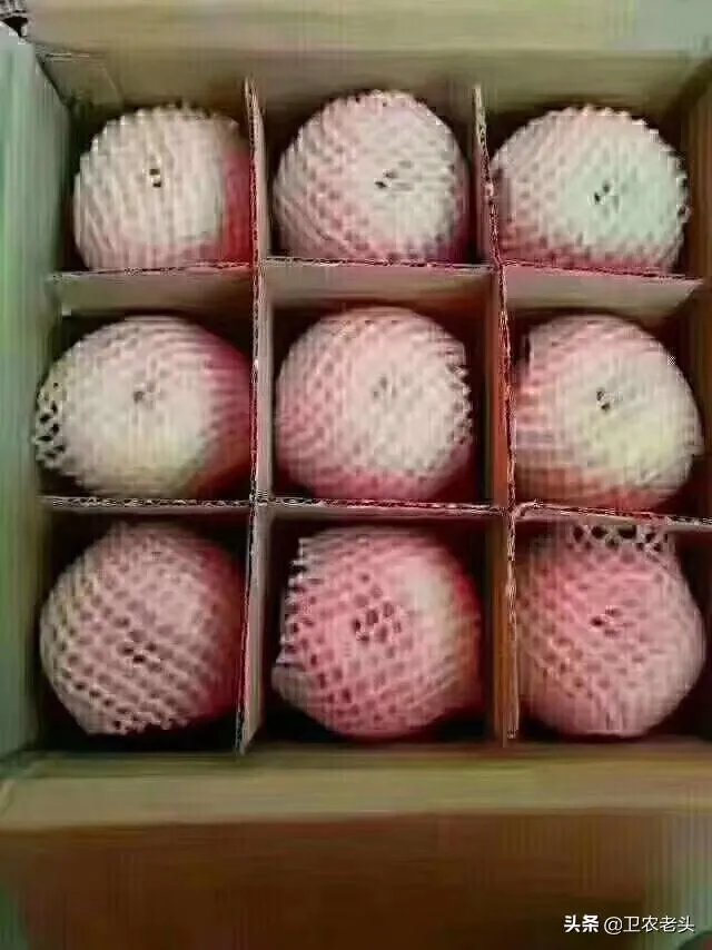 进入9月份了中晚熟水果陆续进入成熟采摘期，可是今年的水果价格怎么这么低？