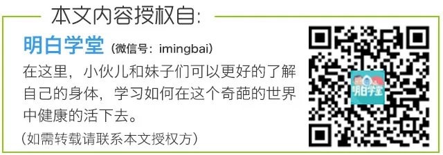 XXOO到底有多少种类型？