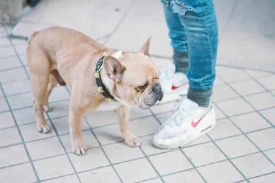 狂犬疫苗注射时间怎么安排？