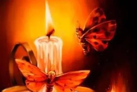 飞蛾扑火的含义