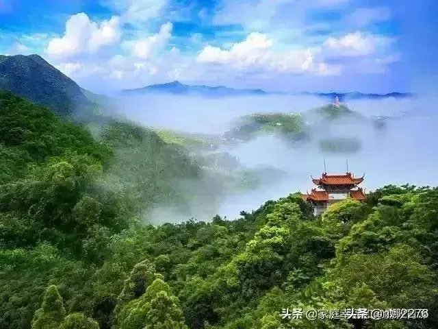 从哪里能去送别袁隆平院士？