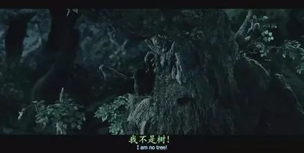 魔戒2主要内容在讲什么。