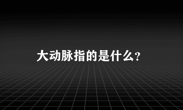 大动脉指的是什么？