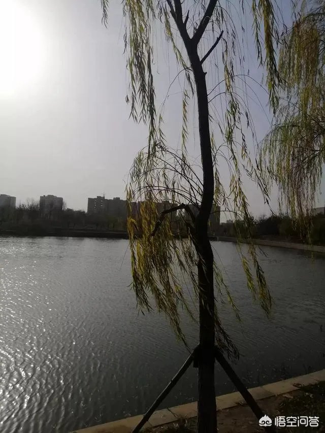 现在的90后是不是真的已经老了？