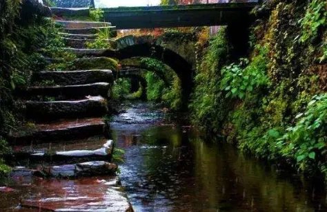 天街小雨润如酥,草色遥看近却无描写是哪个季节？