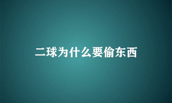 二球为什么要偷东西