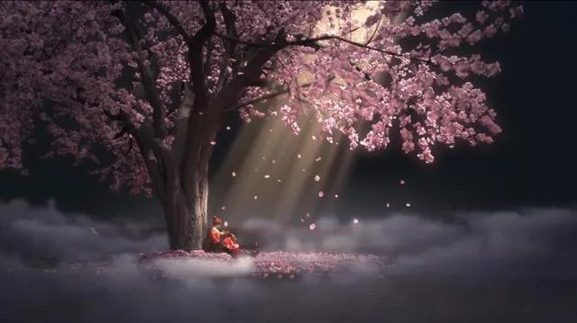 哔哩哔哩好看的黄剧