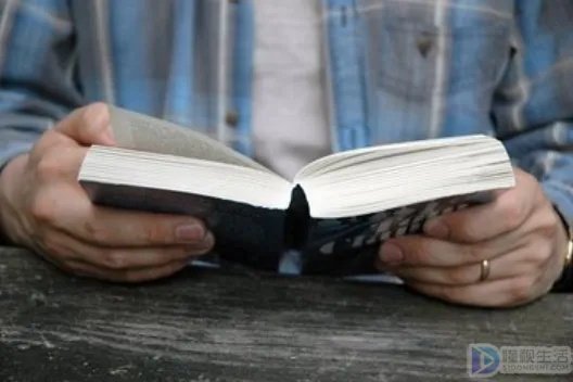 怎么看不成器的大哥小说