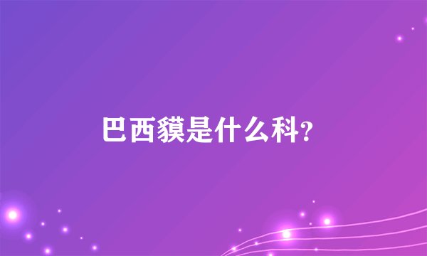 巴西貘是什么科？