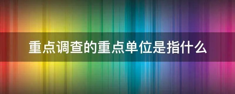 重点调查的重点单位是指什么