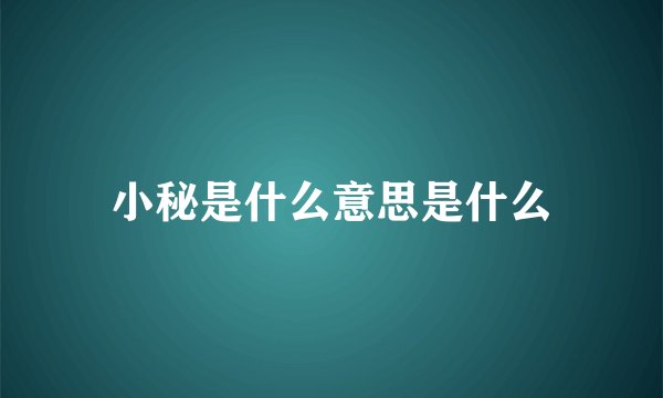 小秘是什么意思是什么
