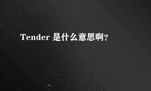 Tender 是什么意思啊？