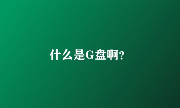 什么是G盘啊？