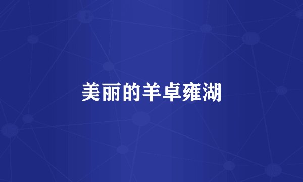 美丽的羊卓雍湖