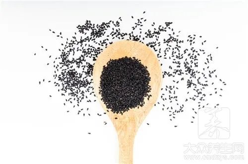 黑芝麻粉怎么吃最好