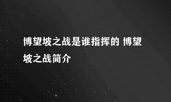 博望坡之战是谁指挥的 博望坡之战简介