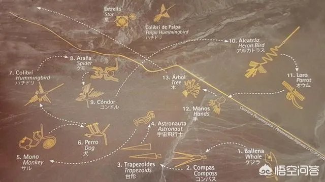 纳斯卡线条有什么神秘之处？