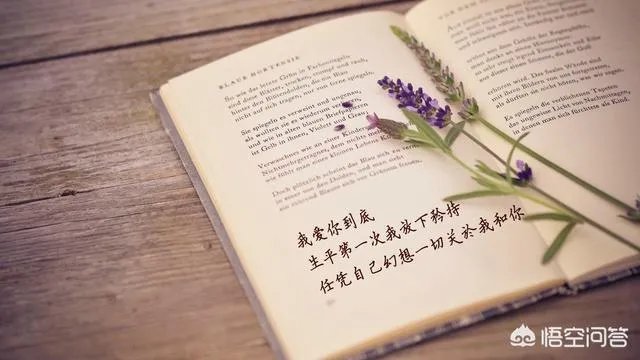 你最喜欢的一本杂志是什么？