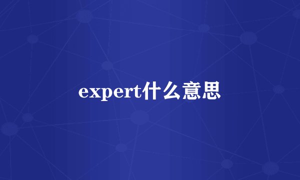 expert什么意思