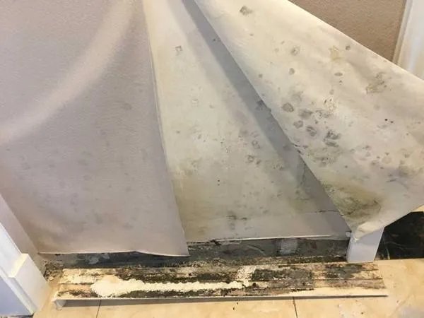 墙纸能直接撕了重新刷漆吗