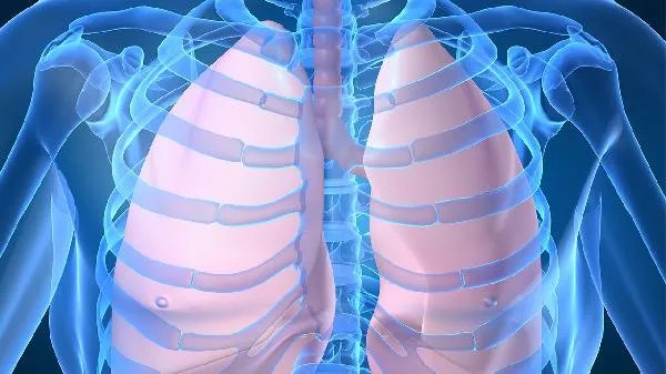 硅肺病和尘肺病的区别