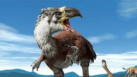 骇鸟：十大最恐怖的鸟类之一，与剑齿虎属于同一时期