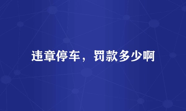 违章停车，罚款多少啊