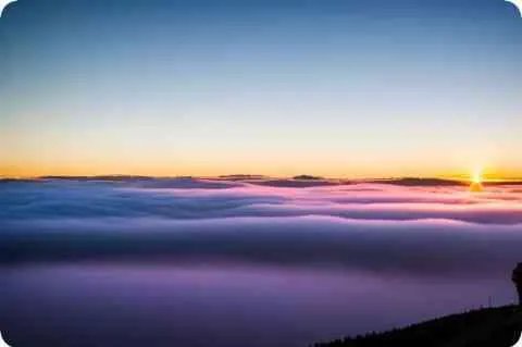 发布会用英语怎么说