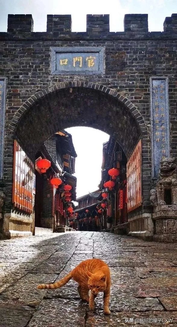 为什么抖音大哥那么有钱