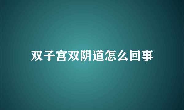 双子宫双阴道怎么回事