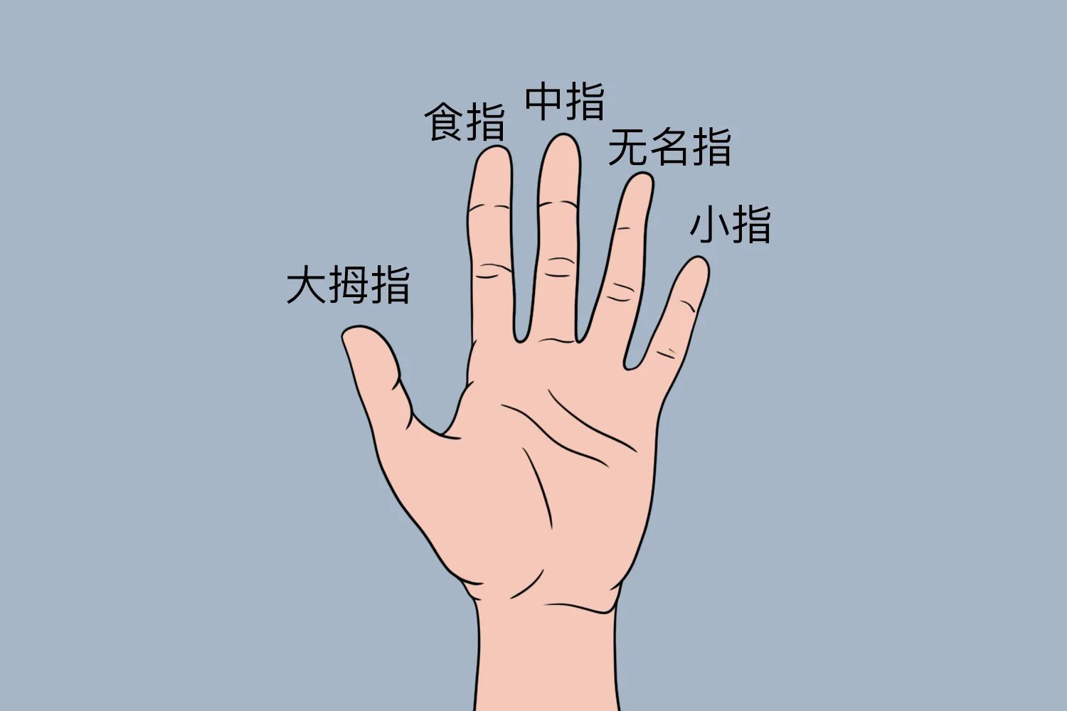 哪个是无名指和食指图