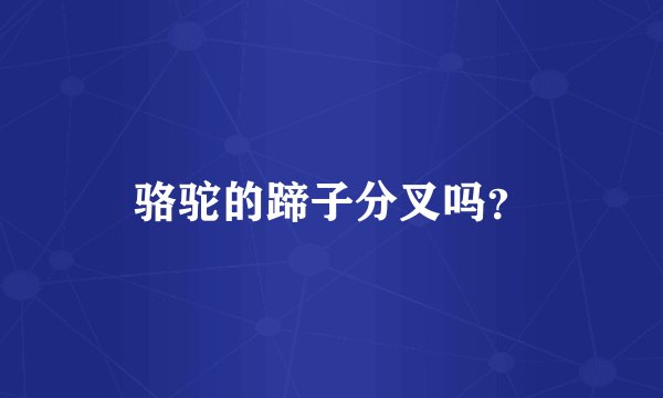 骆驼的蹄子分叉吗？