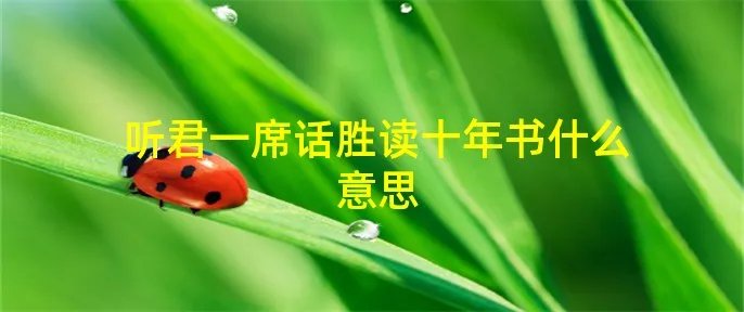 听君一席话胜读十年书什么意思
