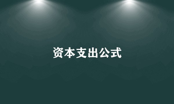 资本支出公式