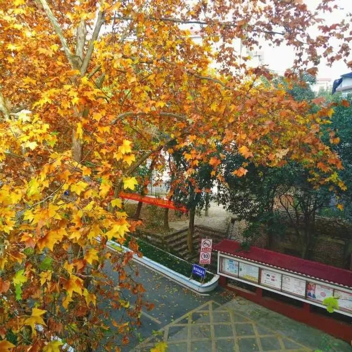 湖南邵东三中！