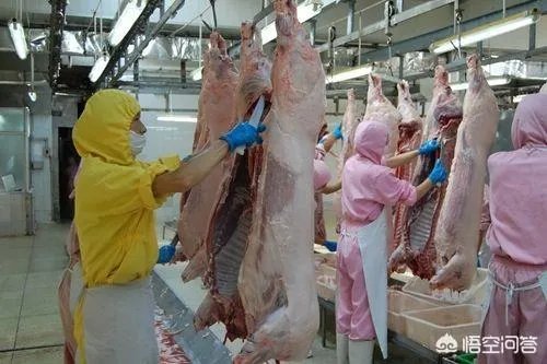 2018年下半年生猪价格走势