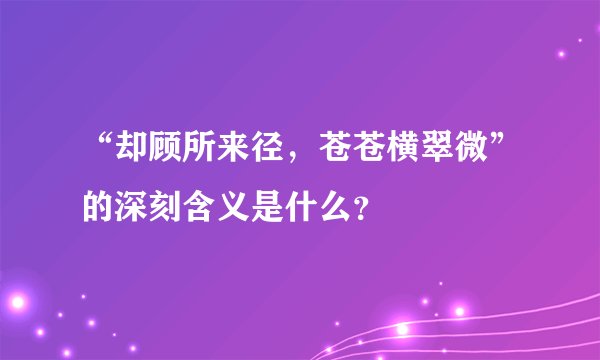 “却顾所来径，苍苍横翠微”的深刻含义是什么？