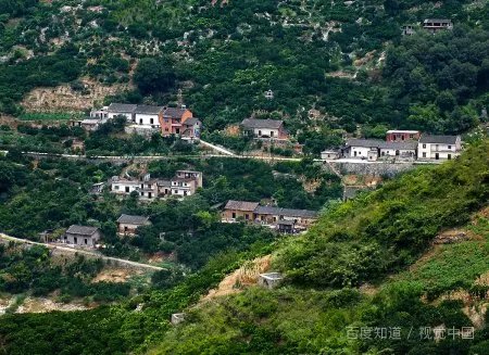 这片土地是神圣的 阅读题答案