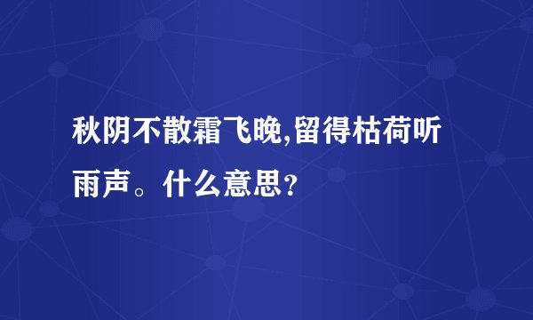 秋阴不散霜飞晚,留得枯荷听雨声。什么意思？